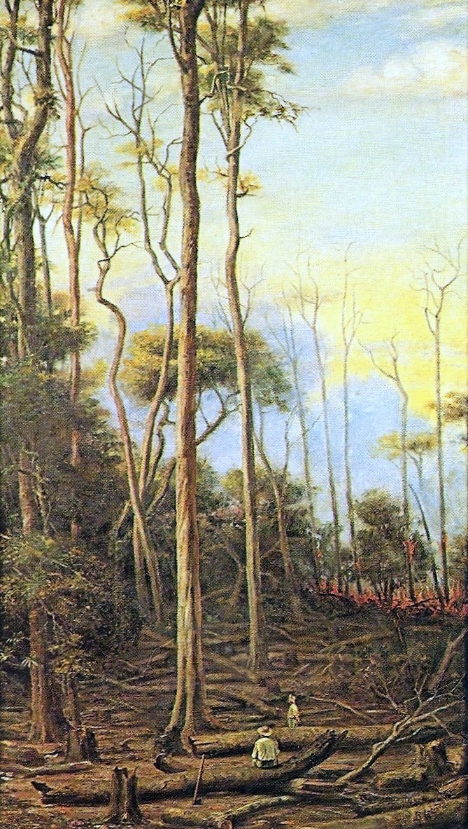 Paroba treesnPortugues: As Perobeirasn af Benedito Calixto