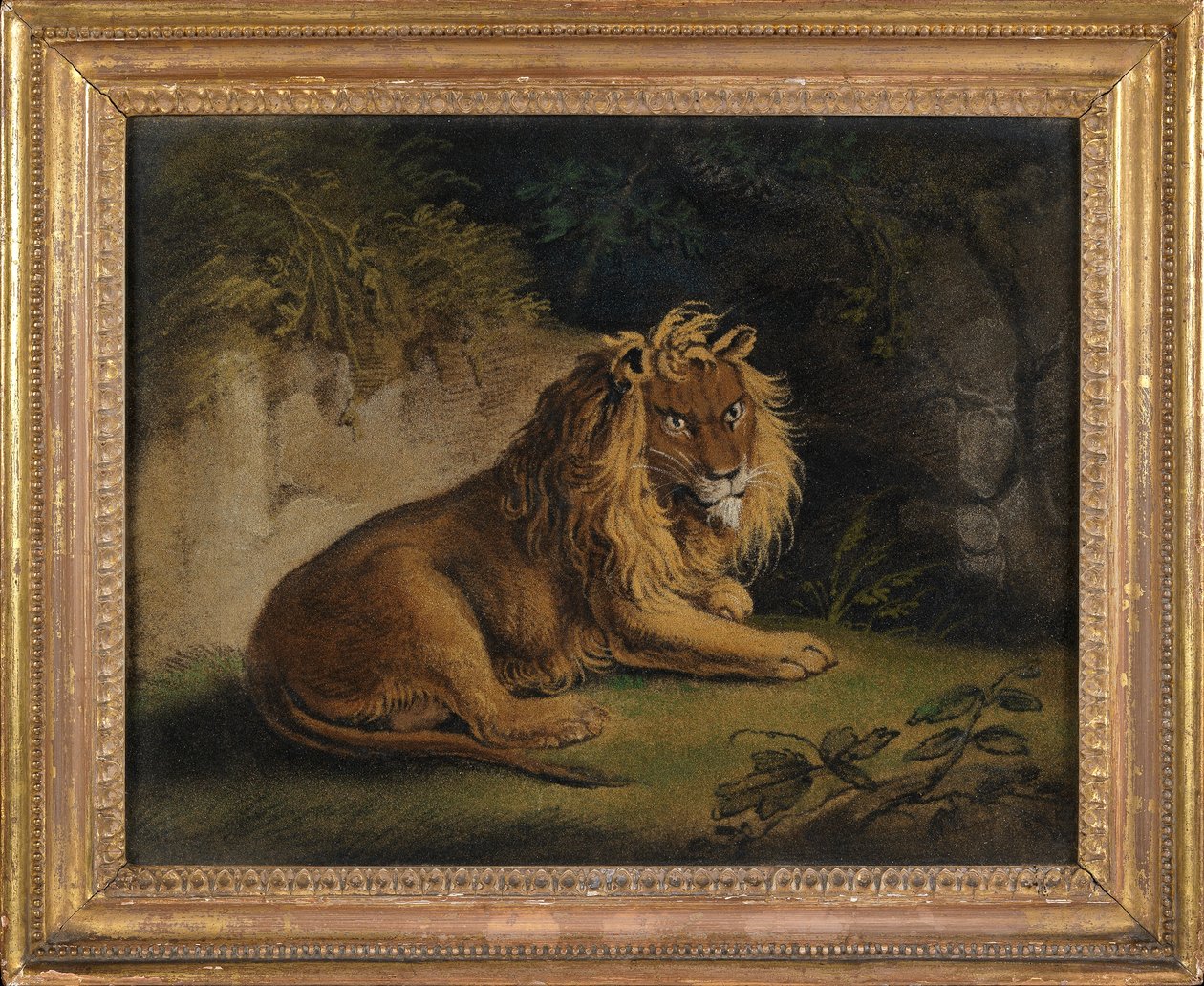 En løve i et junglelandskab (sandbillede om bord) af Benjamin Zobel