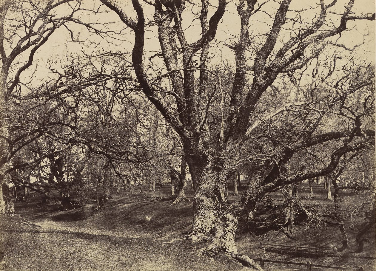Pepperharrow Park, Surrey, 1852-54. af Benjamin Brecknell Turner