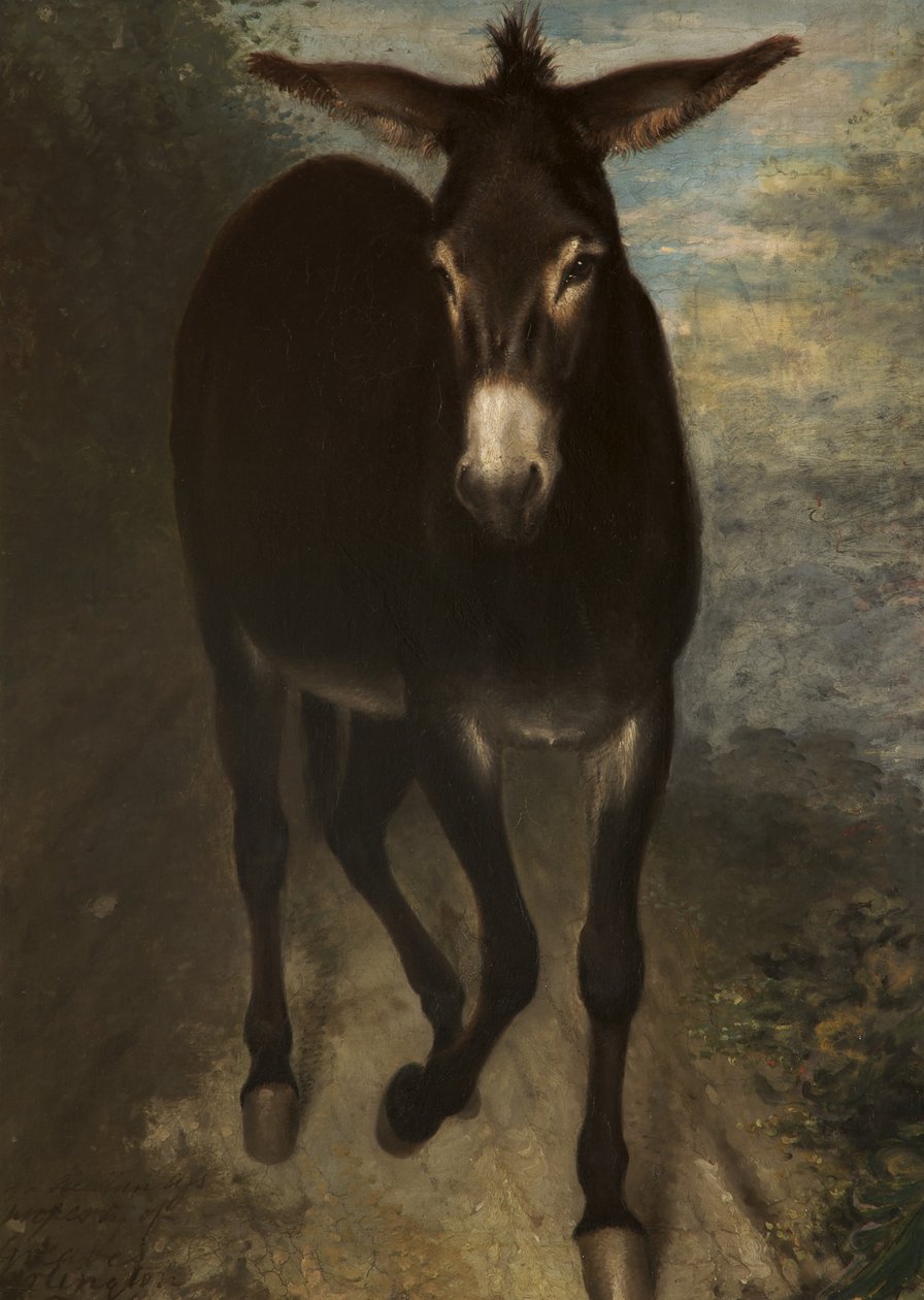 En siciliansk røv af Benjamin Haydon
