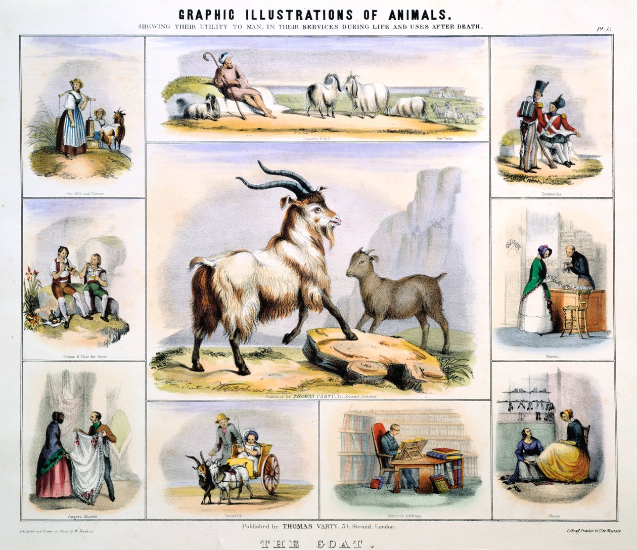 Geden, c1850 af Benjamin Waterhouse Hawkins