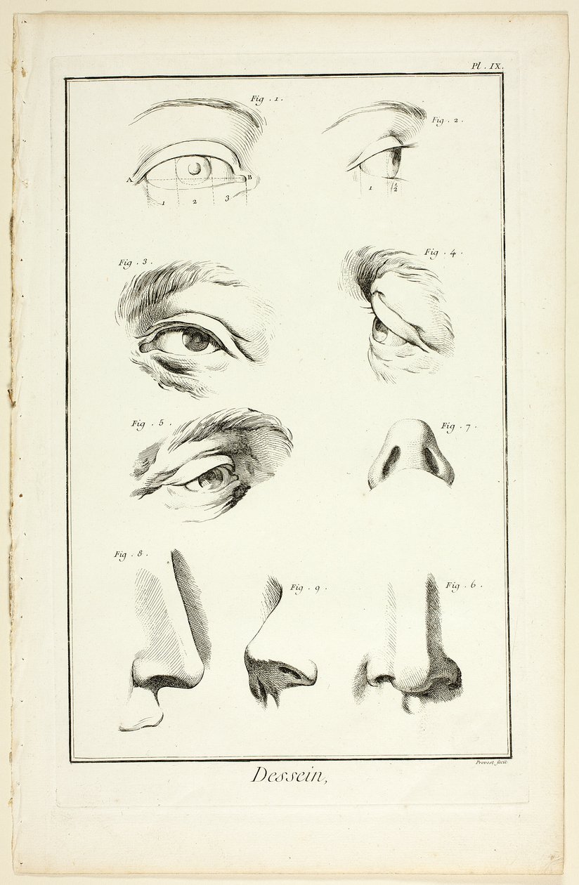 Design: Facial Anatomy fra Encyclopédie af Benoit Louis Prevost