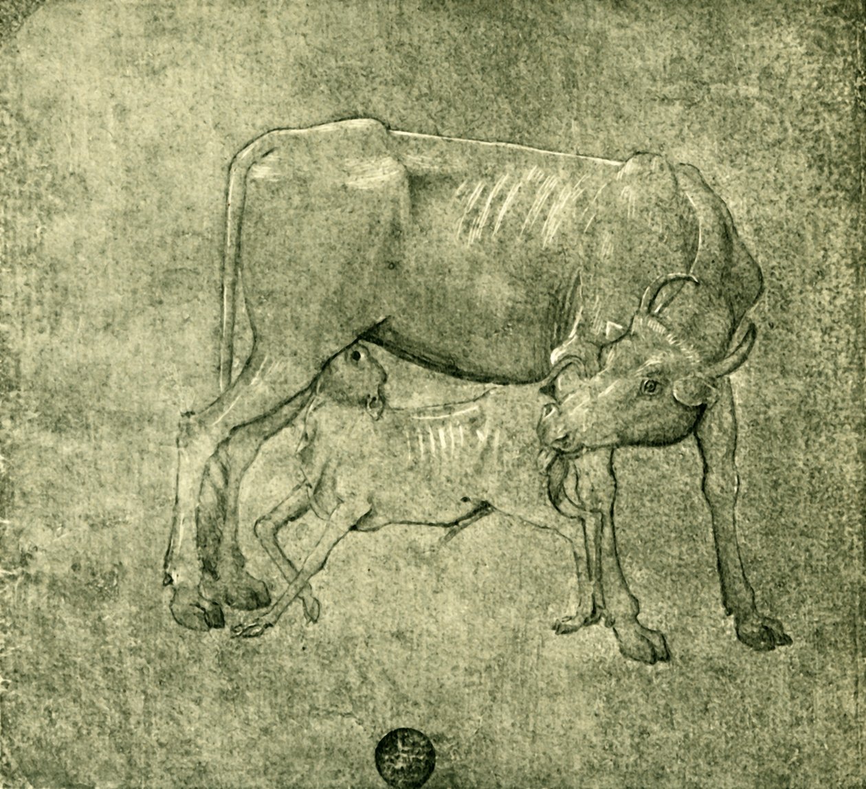 Ko og kalv, midten af slutningen af det 15. århundrede, 1943. af Benozzo Gozzoli