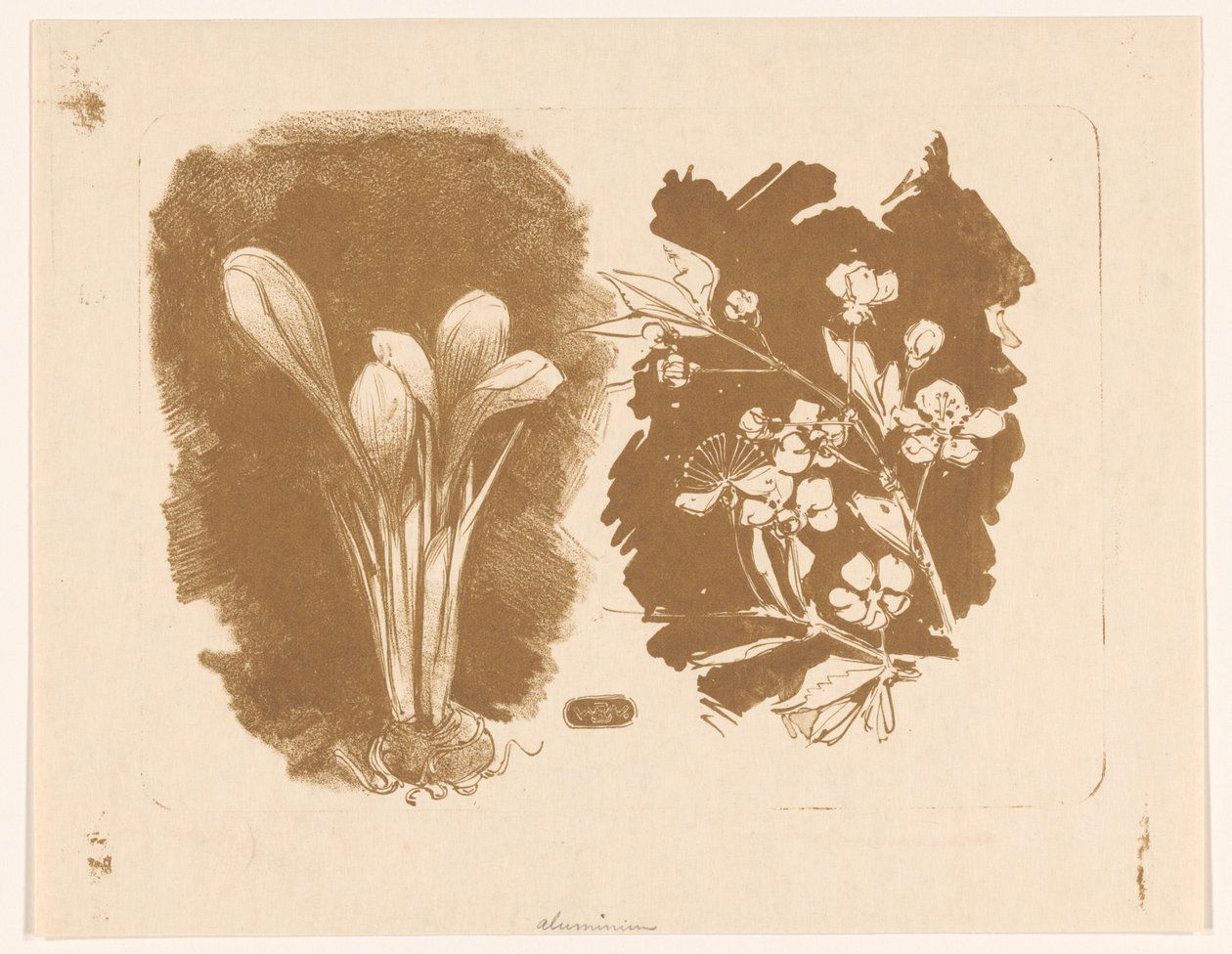 Krokus og en gren med blomst af Bernard Willem Wierink