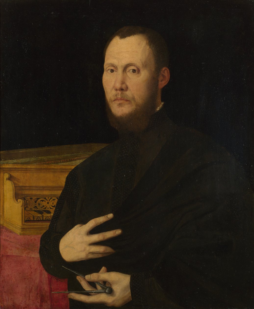 Portræt af en musiker, ca. 1565 af Bernardino Campi