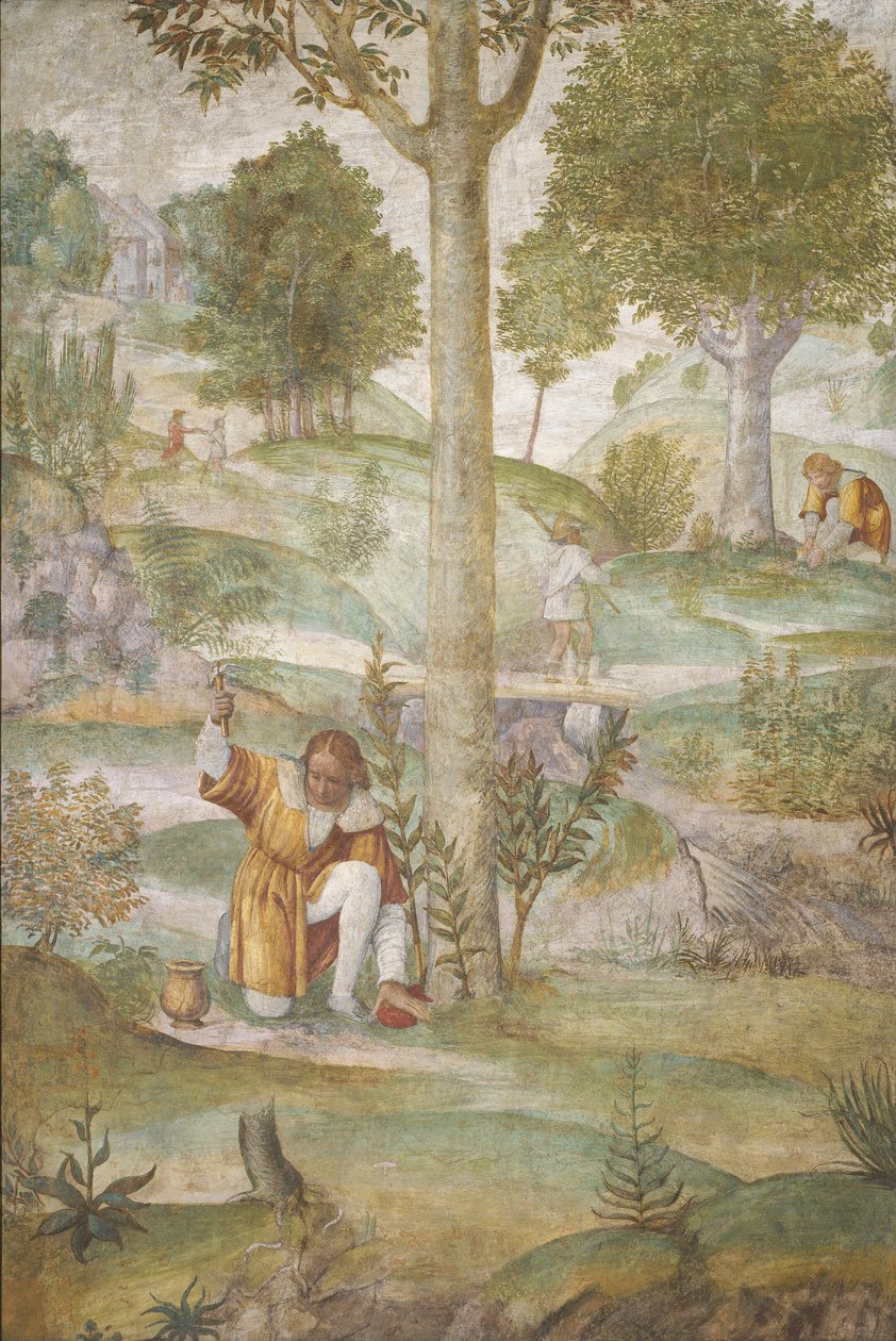 Cephalus skjuler juvelerne, ca. 15201522. af Bernardino Luini