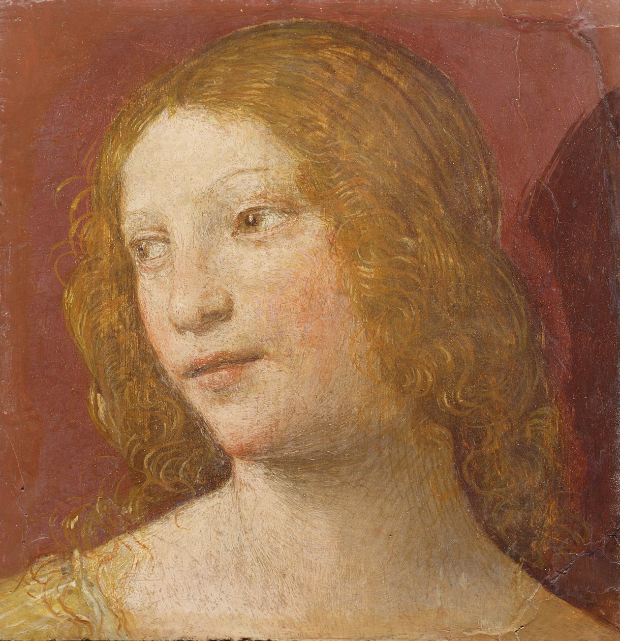 Leder af en ung kvinde af Bernardino Luini