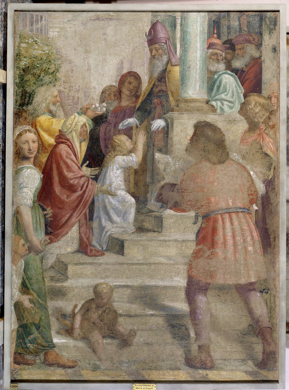 Præsentation af Maria ved templet af Bernardino Luini