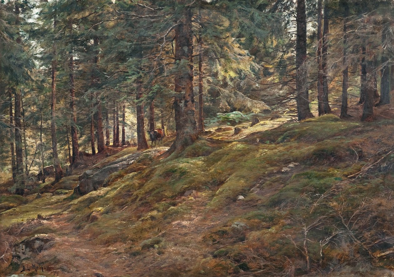 Lys i skoven af Berndt Lindholm