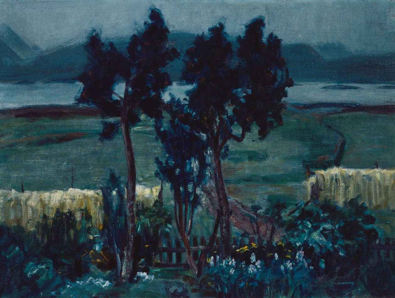Udsnit fra Oeksnes af Bernt Wilhelm Tunold