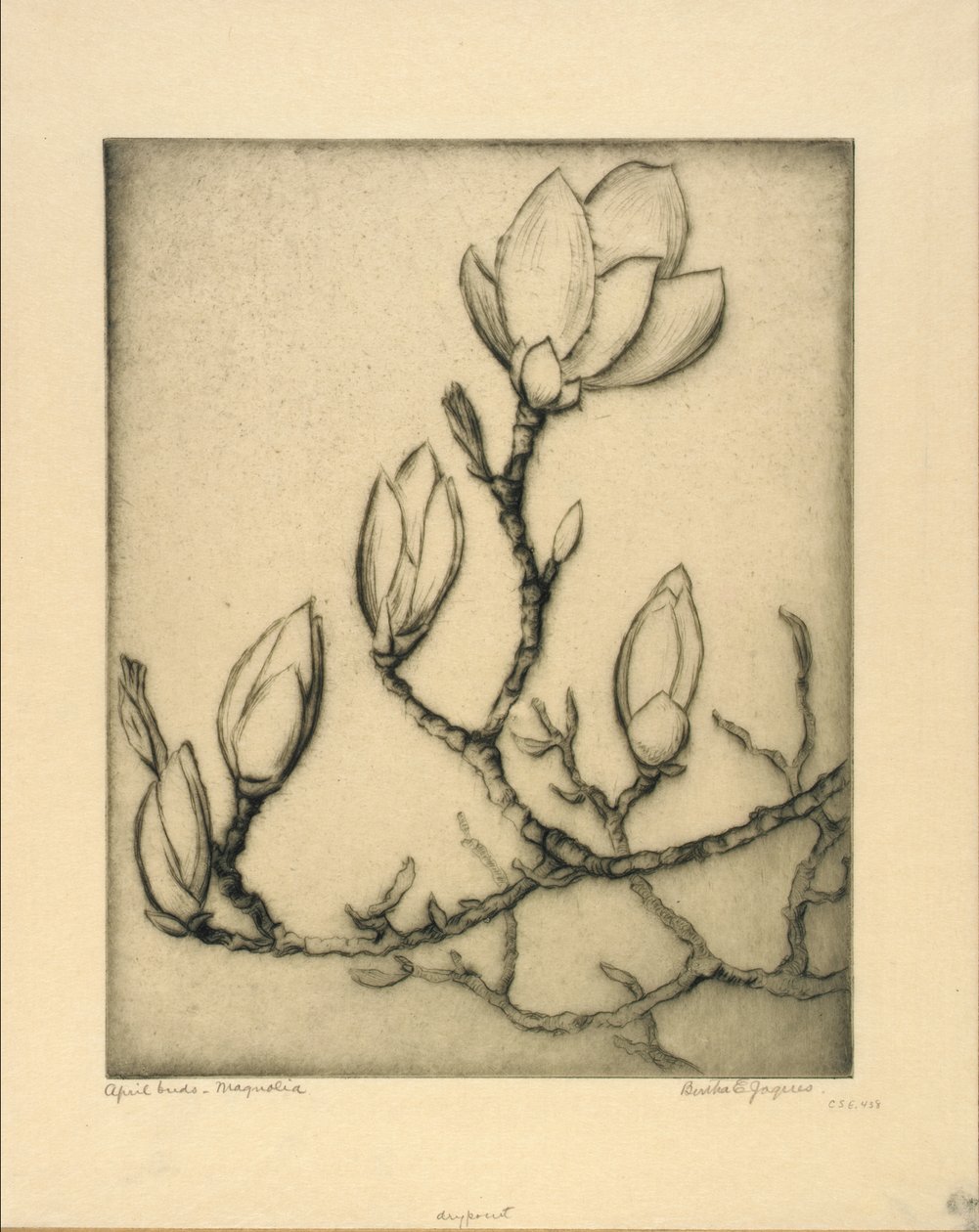 Aprilknopper--Magnolia af Bertha E. Jaques
