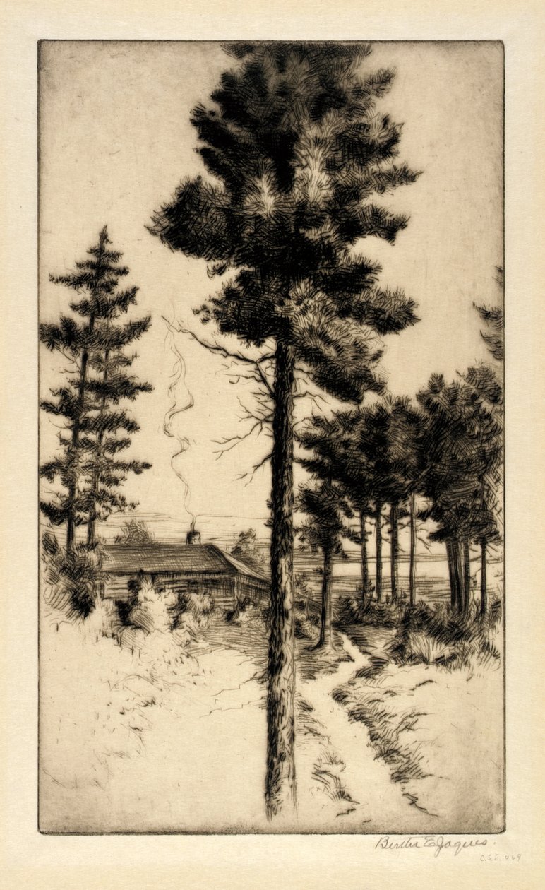 Hytte i vildmarken af Bertha E. Jaques
