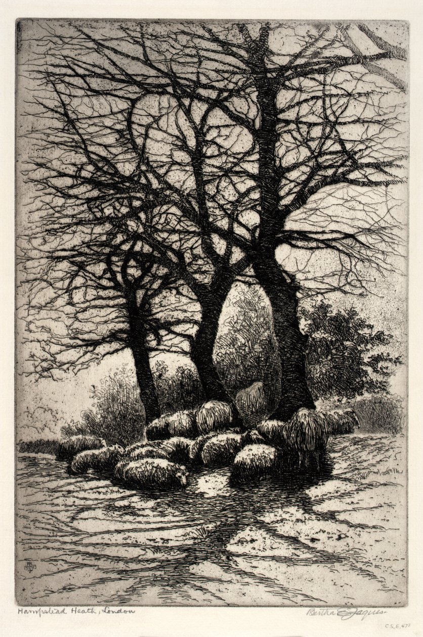 Hampstead Heath, London af Bertha E. Jaques
