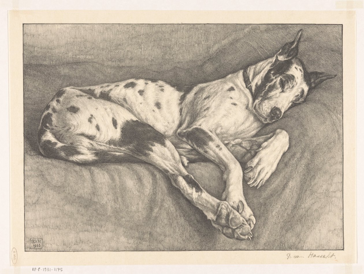 sovende hund af Bertha van Hasselt (signed by artist)