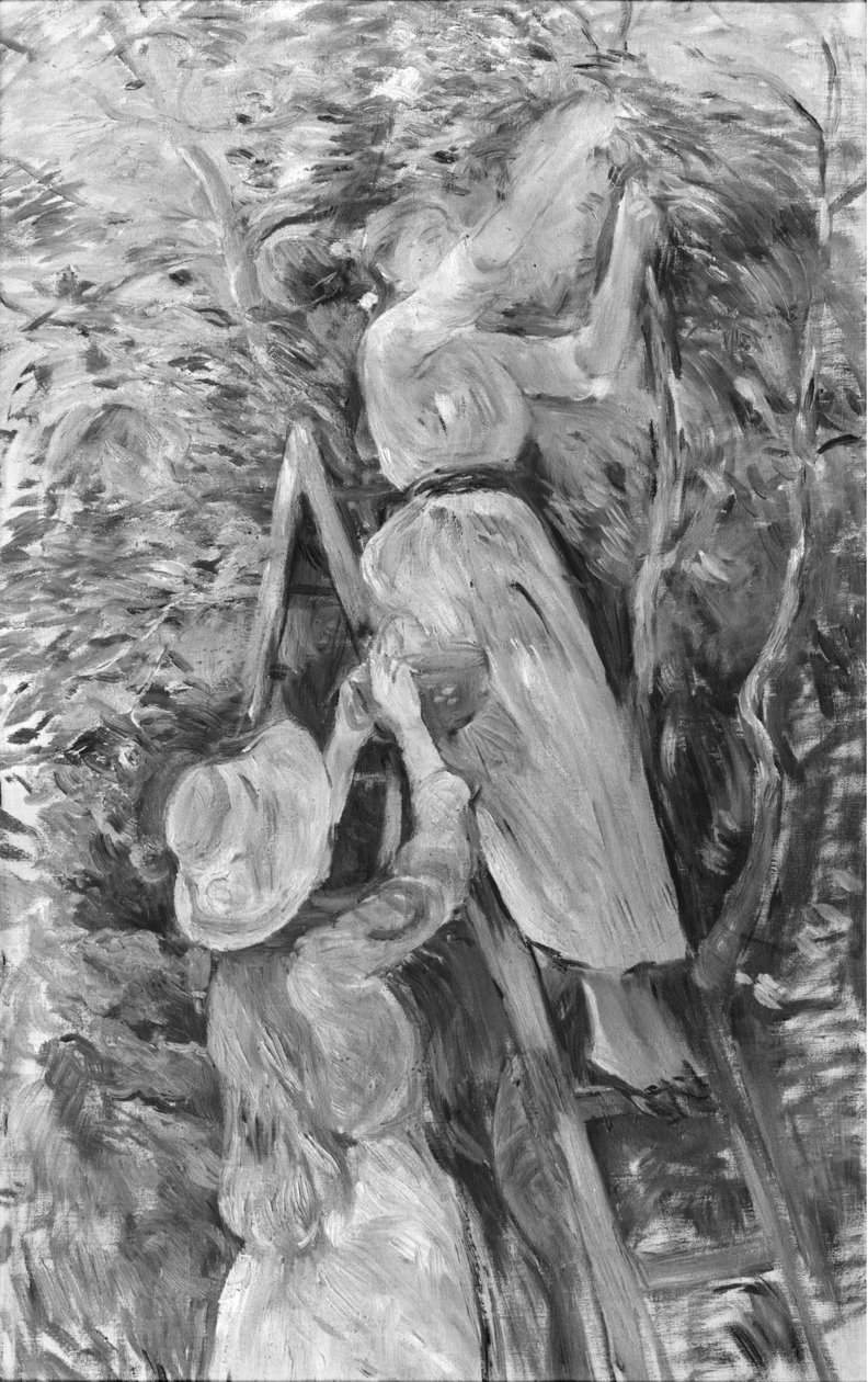 Kirsebærplukning, 1891 (se også 18907) af Berthe Morisot