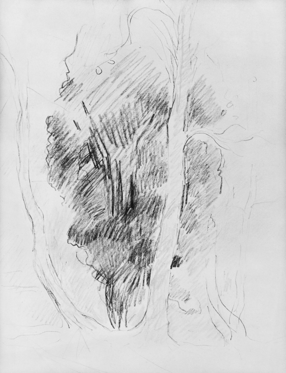 Studie af træer, 1893 af Berthe Morisot
