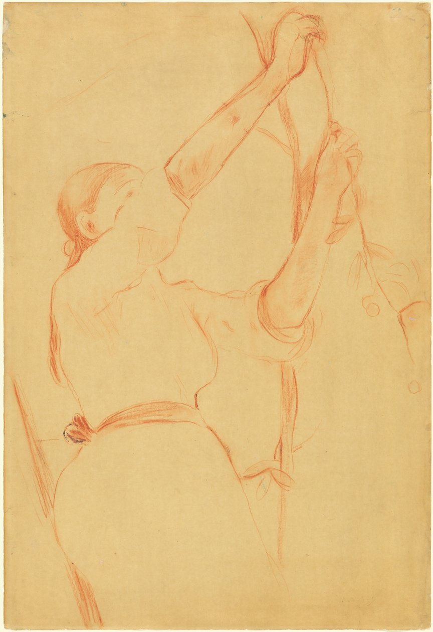 Pige plukker kirsebær, 1891. af Berthe Morisot