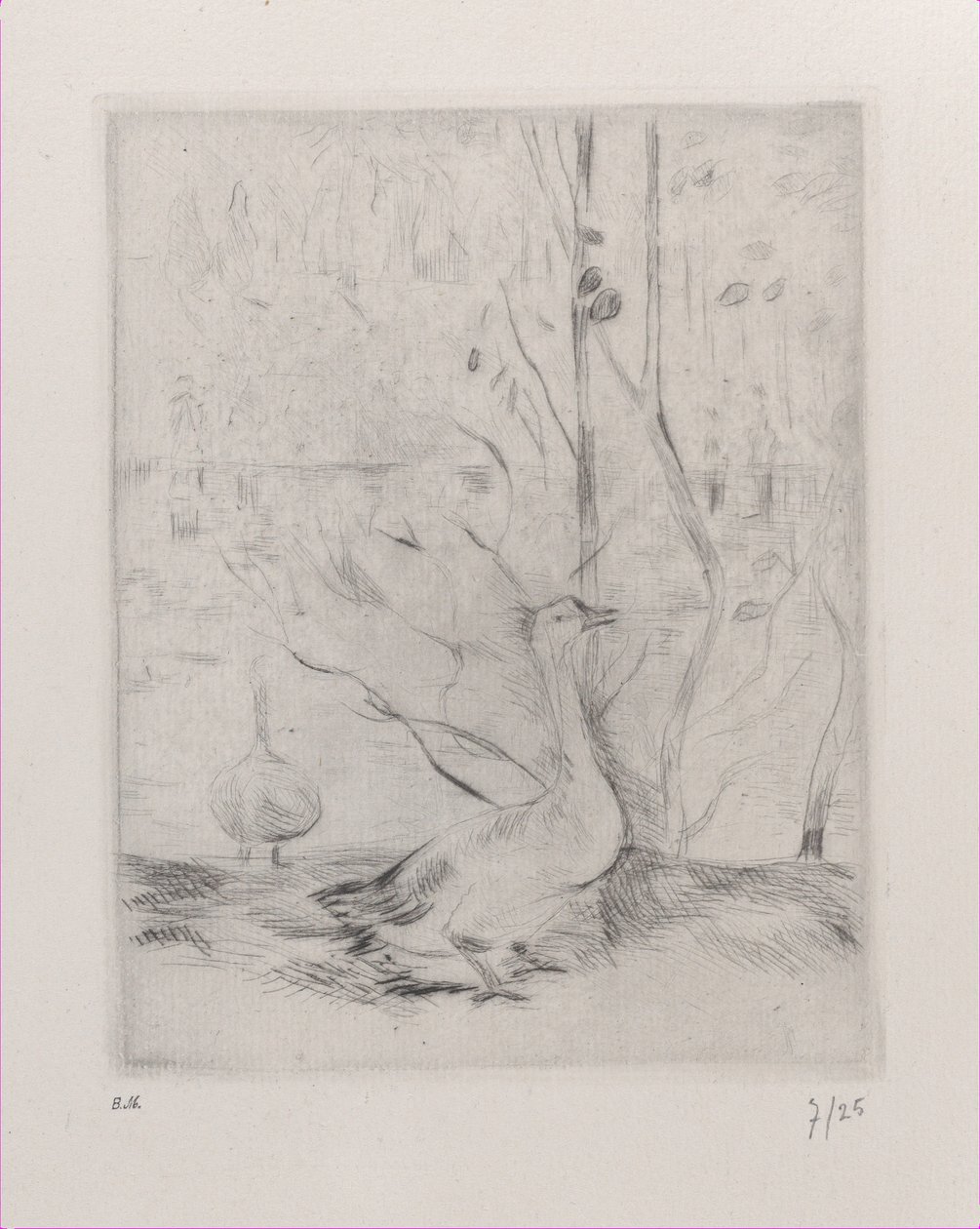 Gås, 1889. af Berthe Morisot