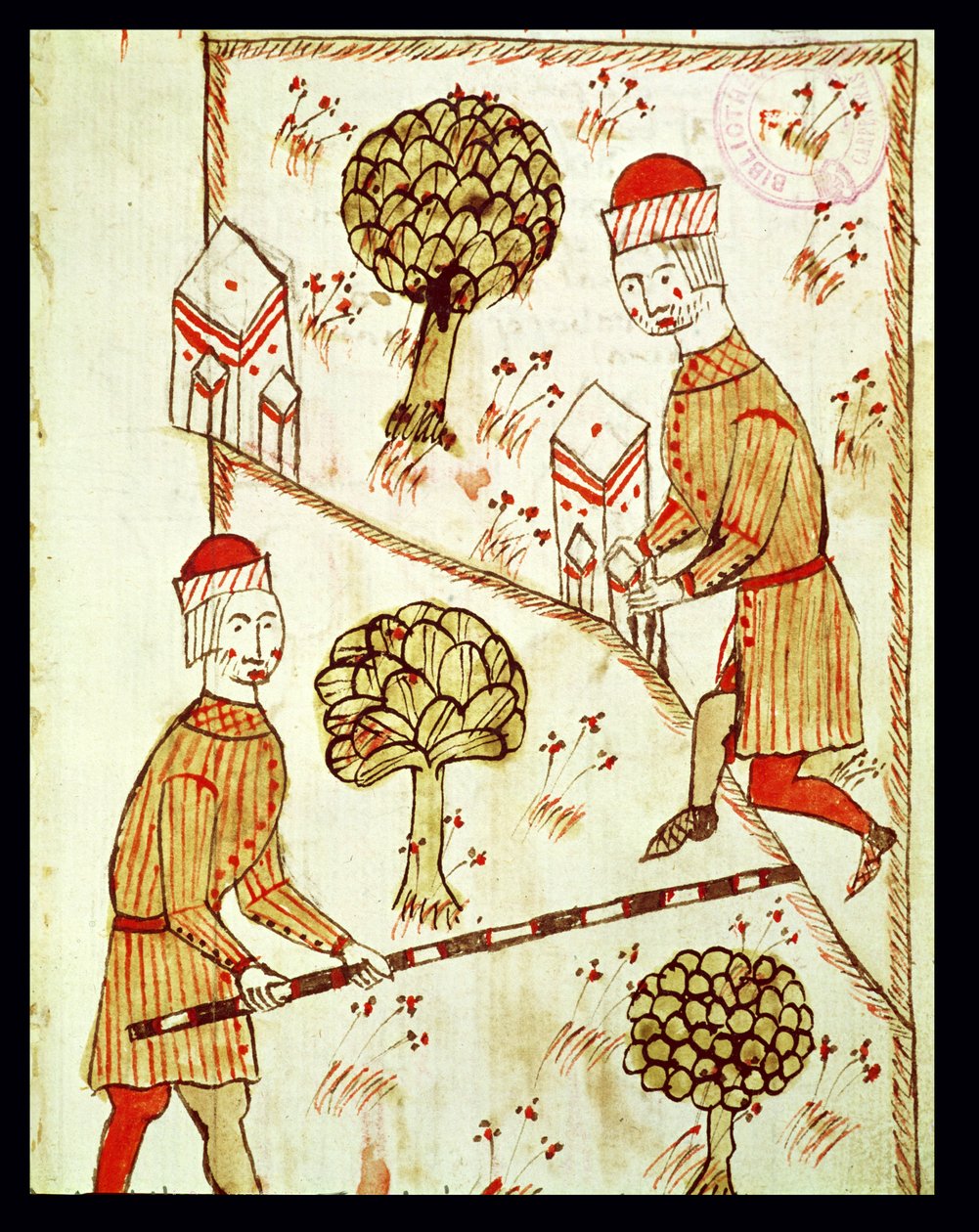 Ms 327 fol. 28r Opmåling og afgrænsning af jord, fra 