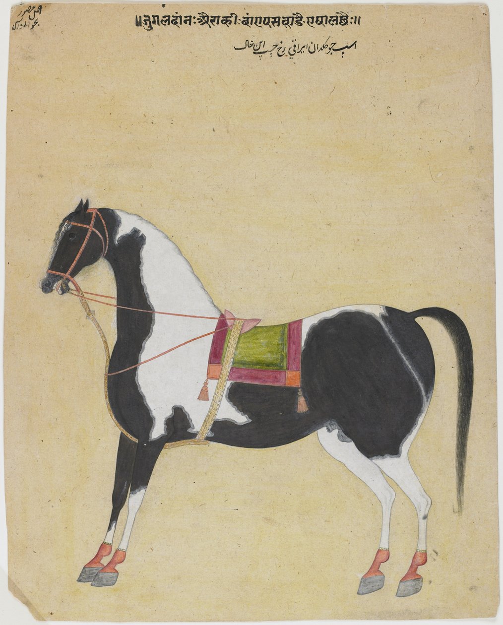 Hingsten Jukaldan Ayragi, ca.1730 (uigennemsigtig wc på papir) af Bhavani Das