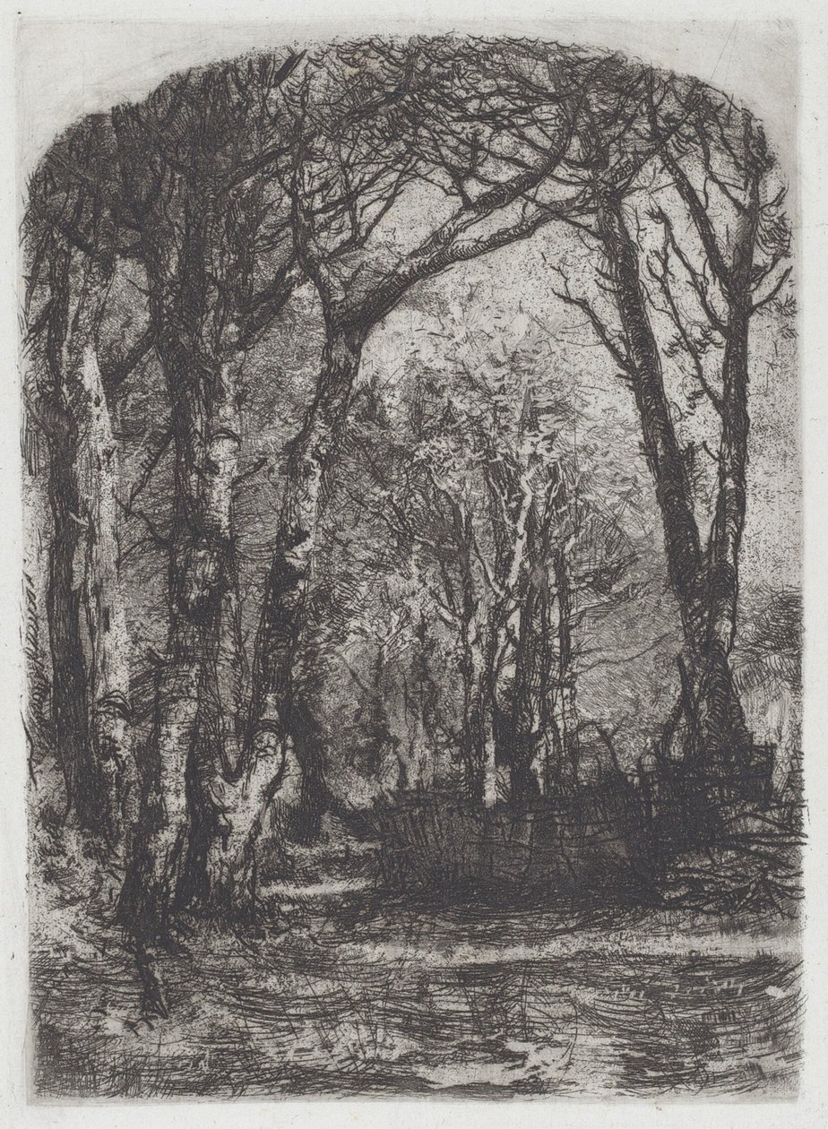 Woods [Bosco], ca. 1895. af Bianchi Mose