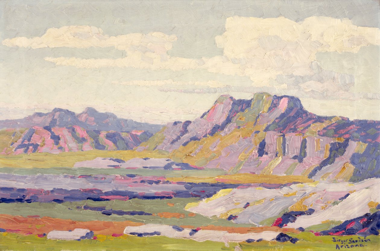 I den malede ørken, Arizona af Birger Sandzen