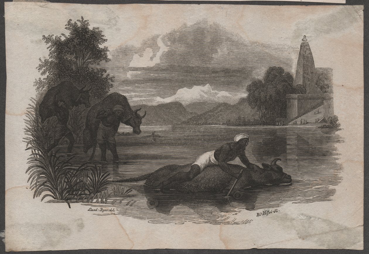 Landmænd bærer dødt kvæg, ca. 1850 (stik) af Blasius Höfel