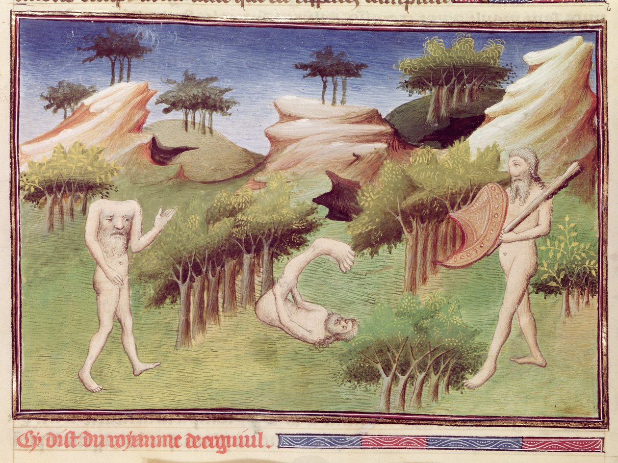Ms 2810 f.29v, Monstre fra Merkitternes land, fra "Livre des Merveilles du Monde", ca.1410-12 (tempera på pergament) af Boucicaut Master