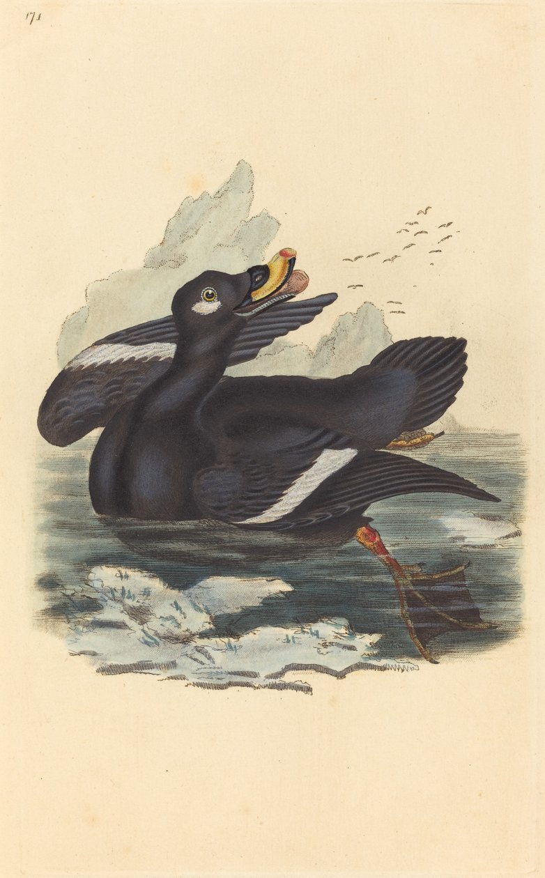 Fløjlsand af British 19th Century