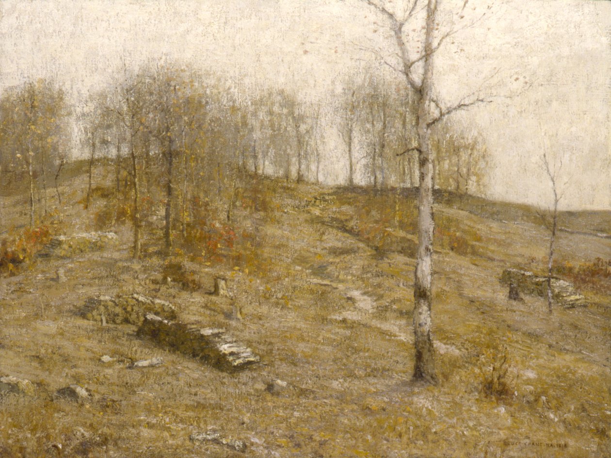 December Uplands, 1919. af Bruce Crane
