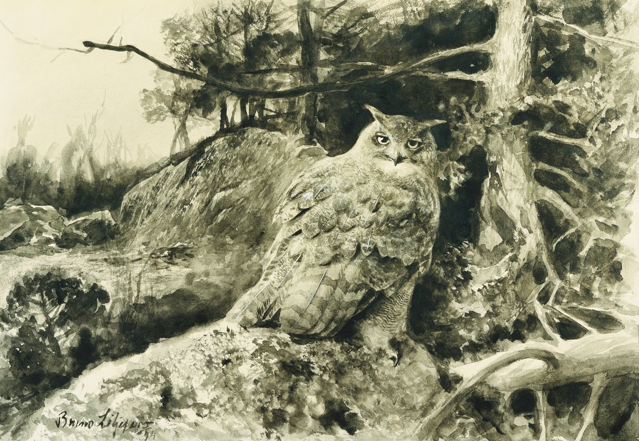 Berguv (Ørneugle) Bubo Bubo af Bruno Andreas Liljefors