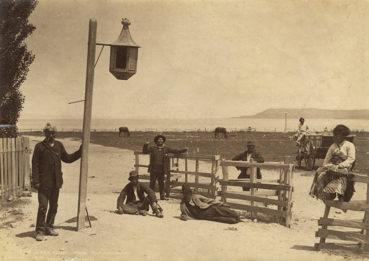 Lake Taupo - fra Tapuaharuru, ca. 1886 (albumin print) af Burton Brothers Studio