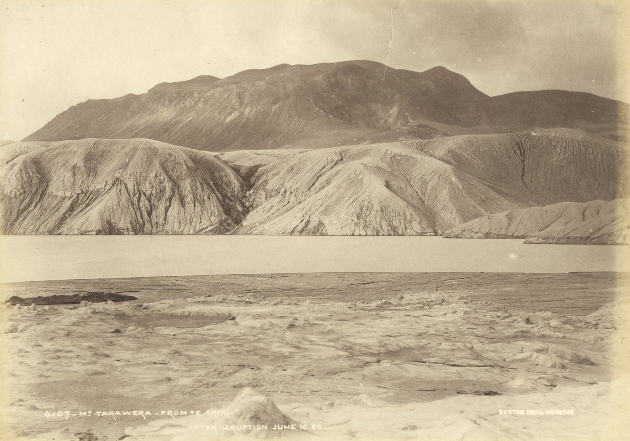 Tarawera-bjerget fra Te Ariki. Efter udbrud 10.86 juni, juli 1886 (albumin print) af Burton Brothers Studio