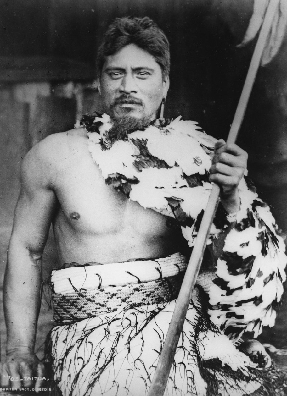 Taitua ved Taumaranui, Kings Country, 1885 af Burton Brothers Studio