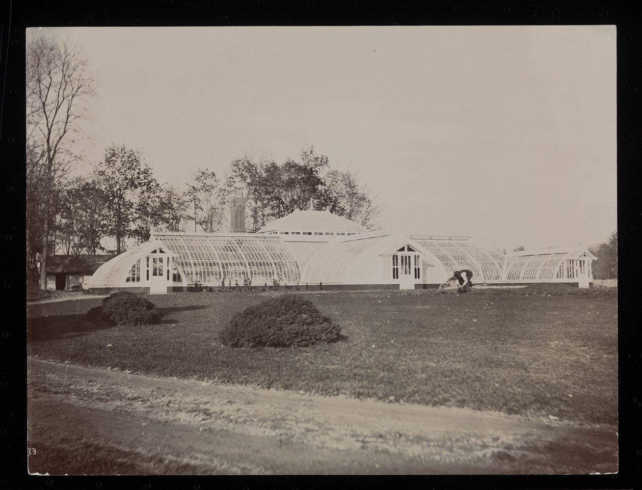 Et drivhus på John Jacob Astor ejendom i Rhinecliff, N.Y., 1893-94 (sølv gelatinetryk) af Byron Company