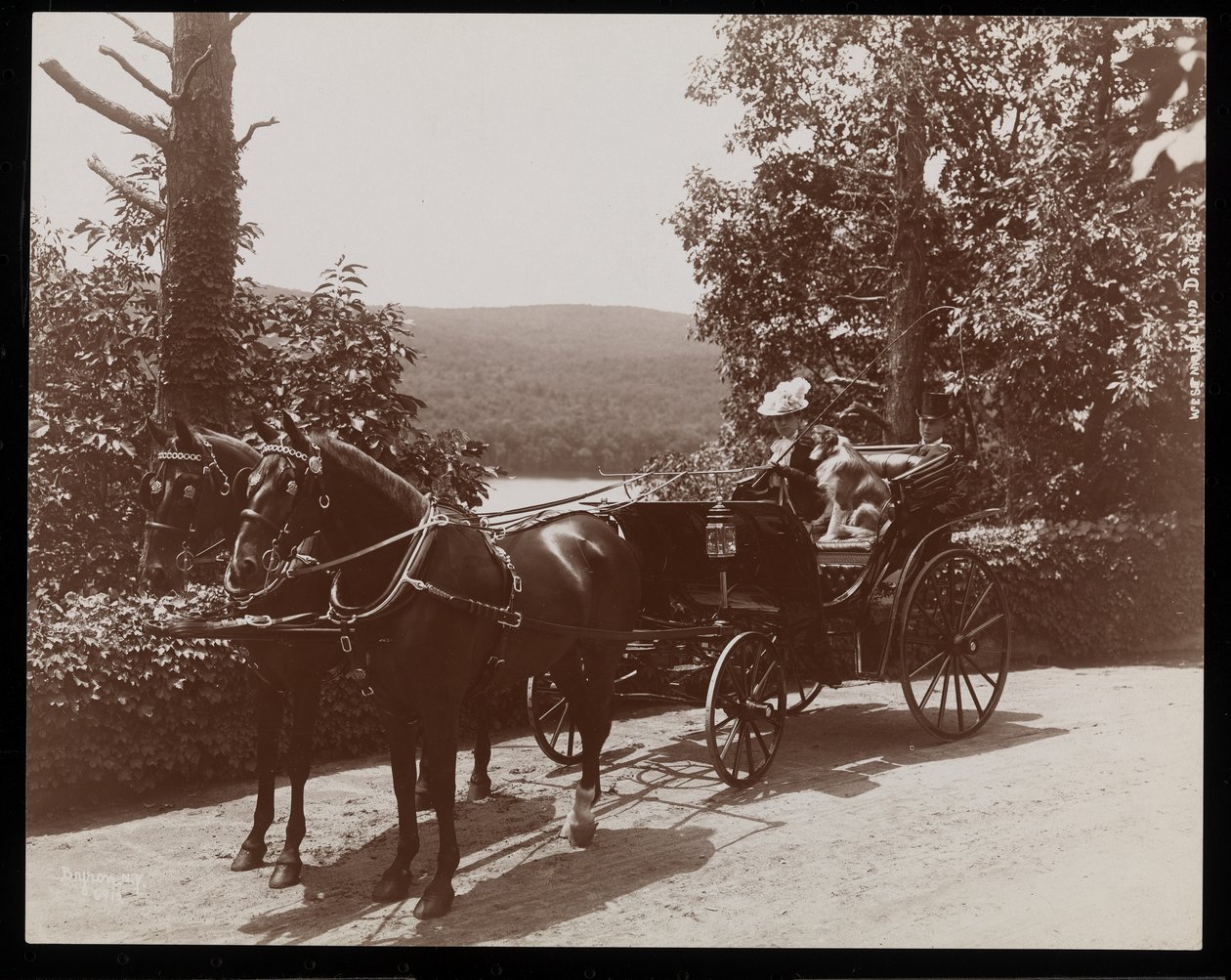 En kvinde og en hund i en hestevogn, 1899 (sølv gelatinetryk) af Byron Company