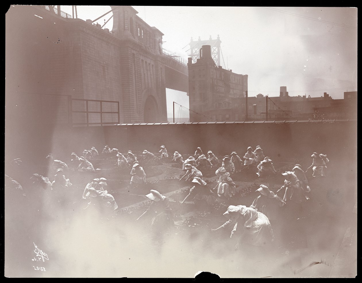 Piger, der arbejder på en køkkenhave på taget, Manhattan Bridge synlige hinsides, New York, 1910 (sølv gelatinetryk) af Byron Company