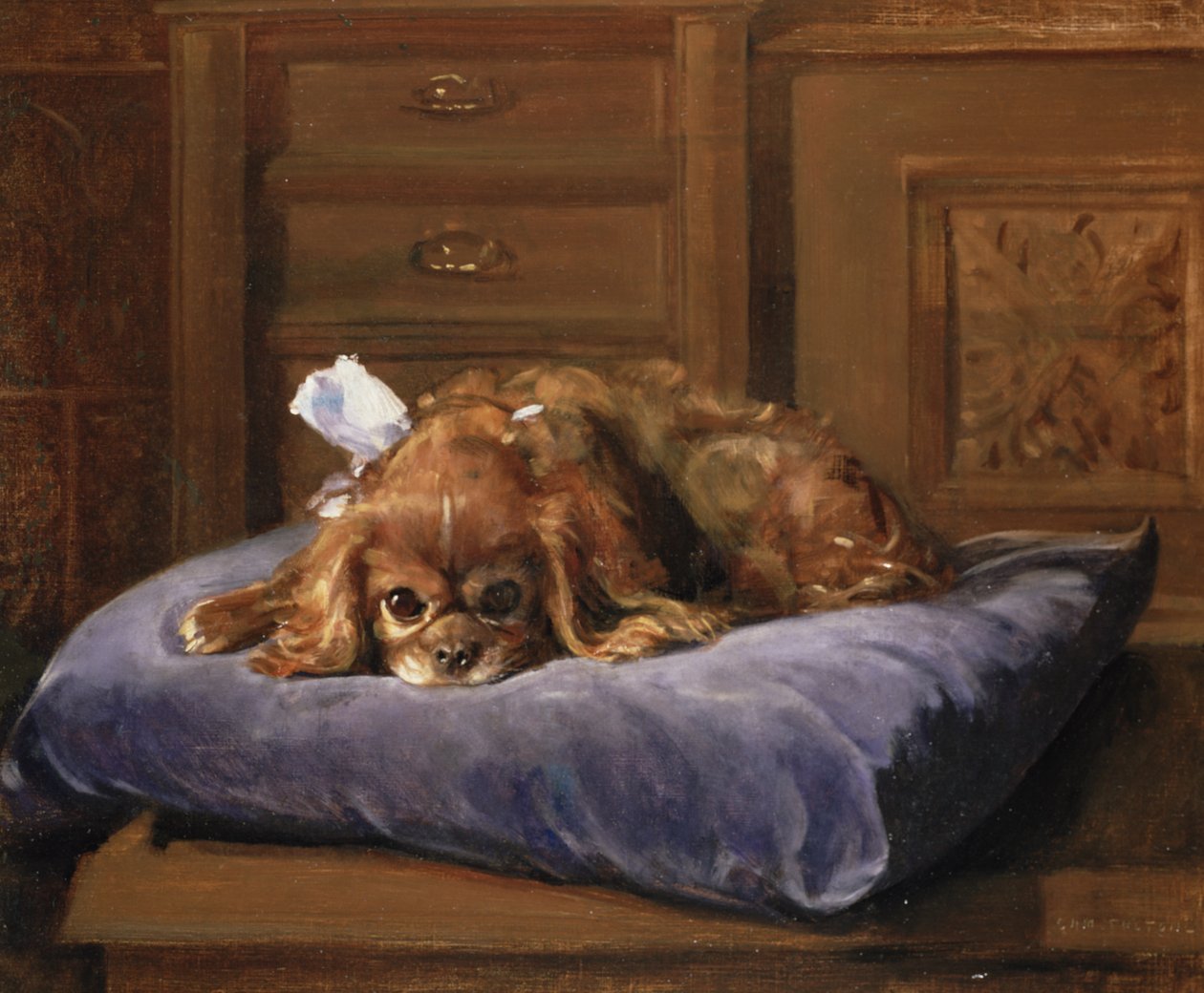 King Charles Spaniel (olie) af C. Fulton