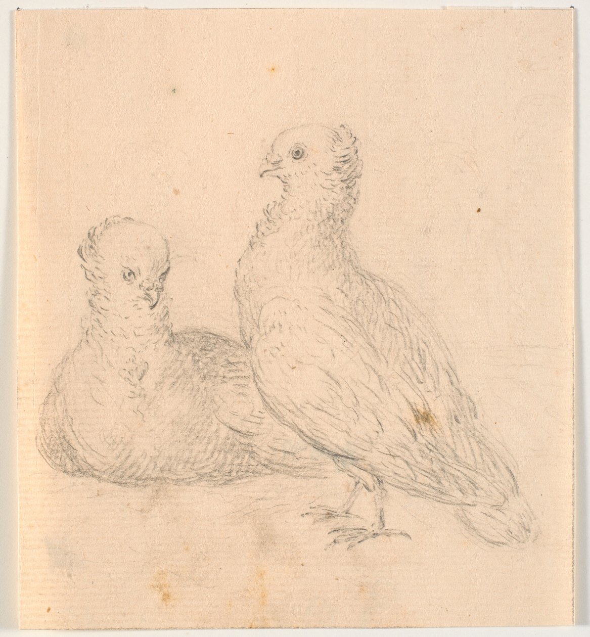 Til duer af C.A. Lorentzen
