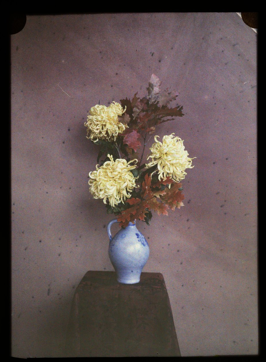 Blomster (asters) i en vase af C.W. Immink