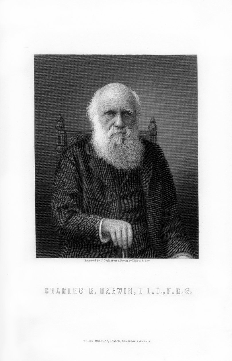 Charles Darwin, britisk naturforsker, 1899. af C. Cook
