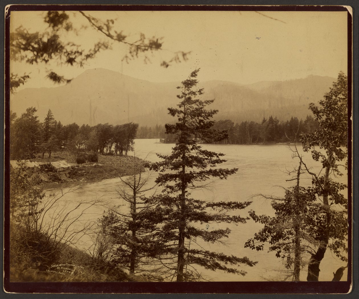 Scene ved Columbia-floden af C. R. Savage