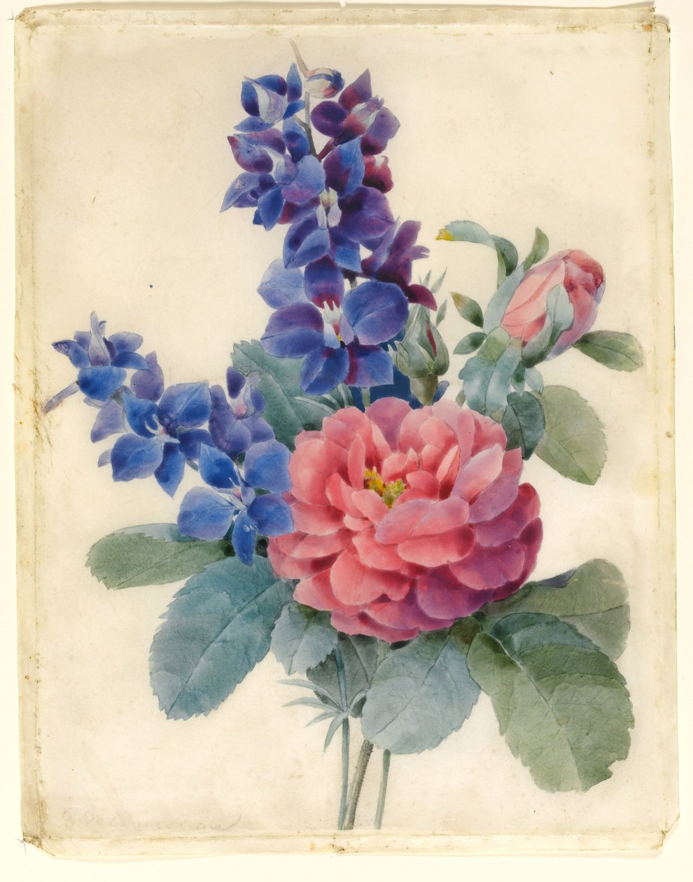Blomster, roser og lærkespore (wc & kropsfarve på vellum) af Camile de Chanteraine