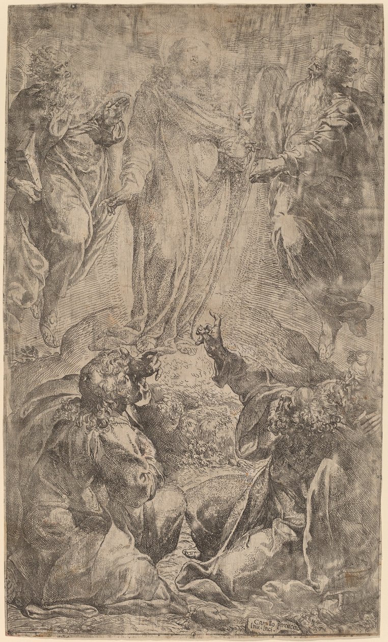Forvandlingen af Camillo Procaccini