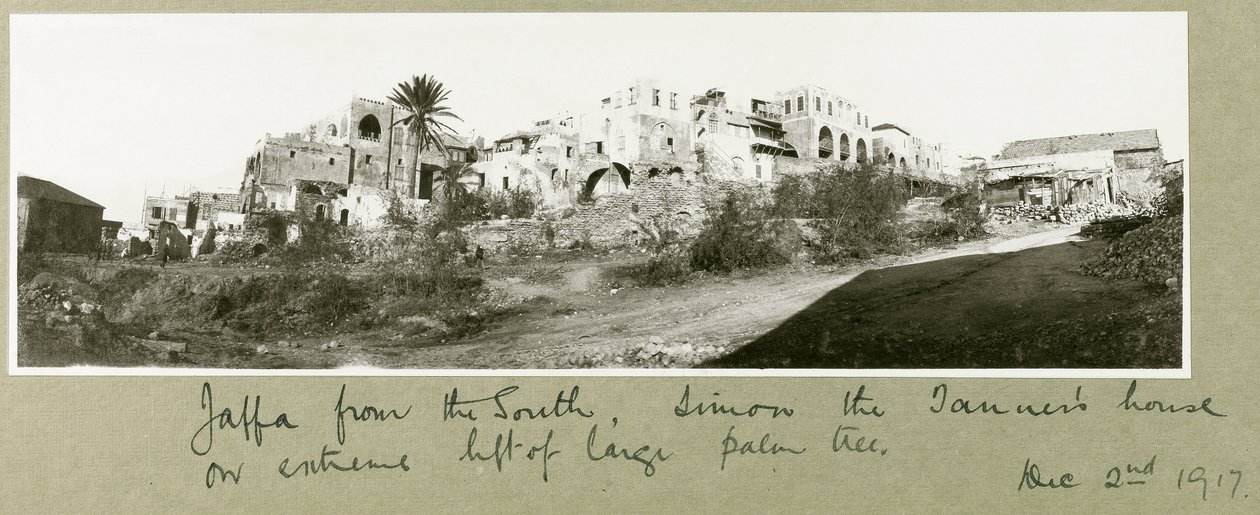 Jaffa fra syd, Simon the Tanner