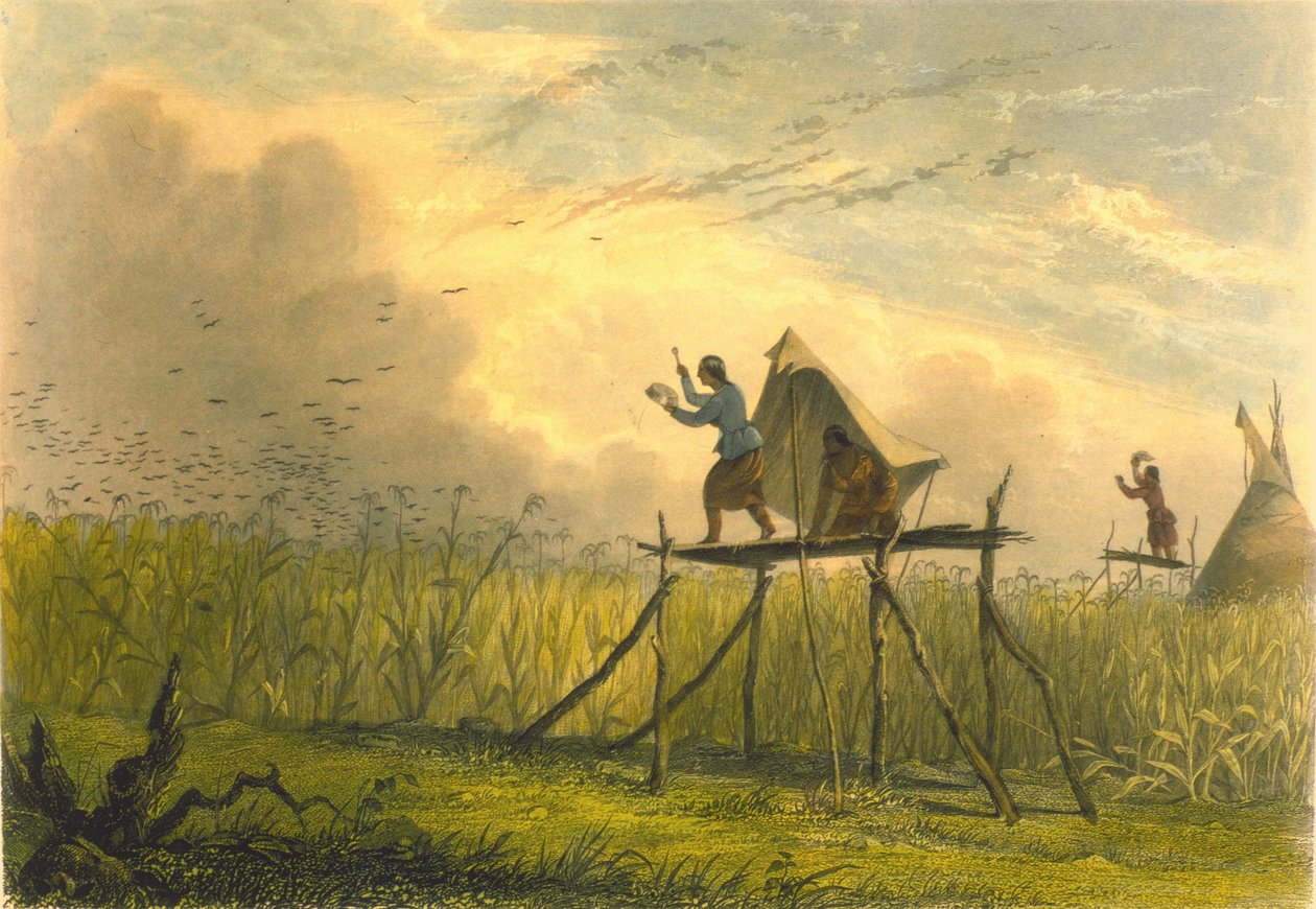 Bevogtning af kornmarkerne, 1853 af Captain Seth Eastman