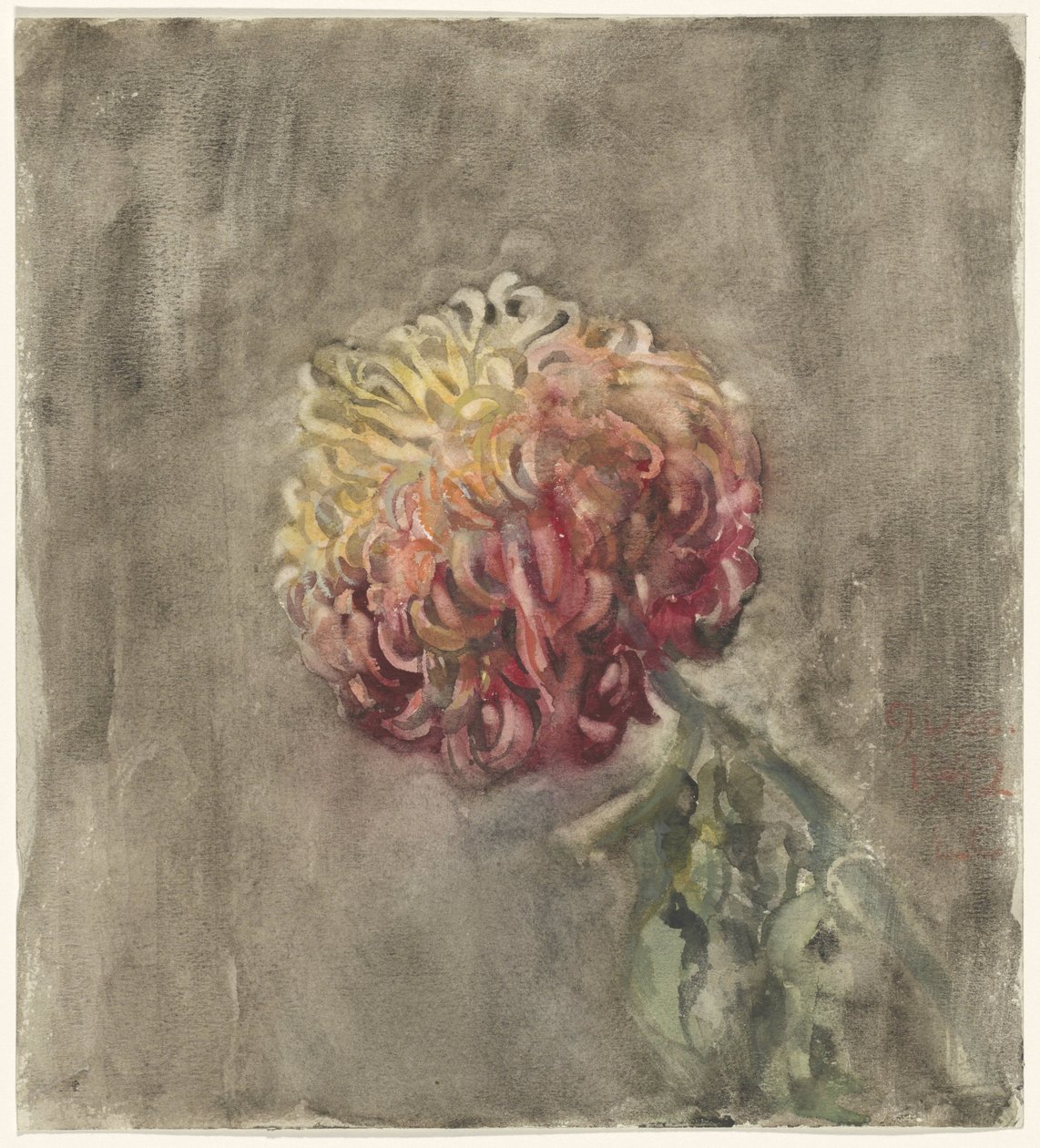 rød krysantemum af Carel Adolph Lion Cachet