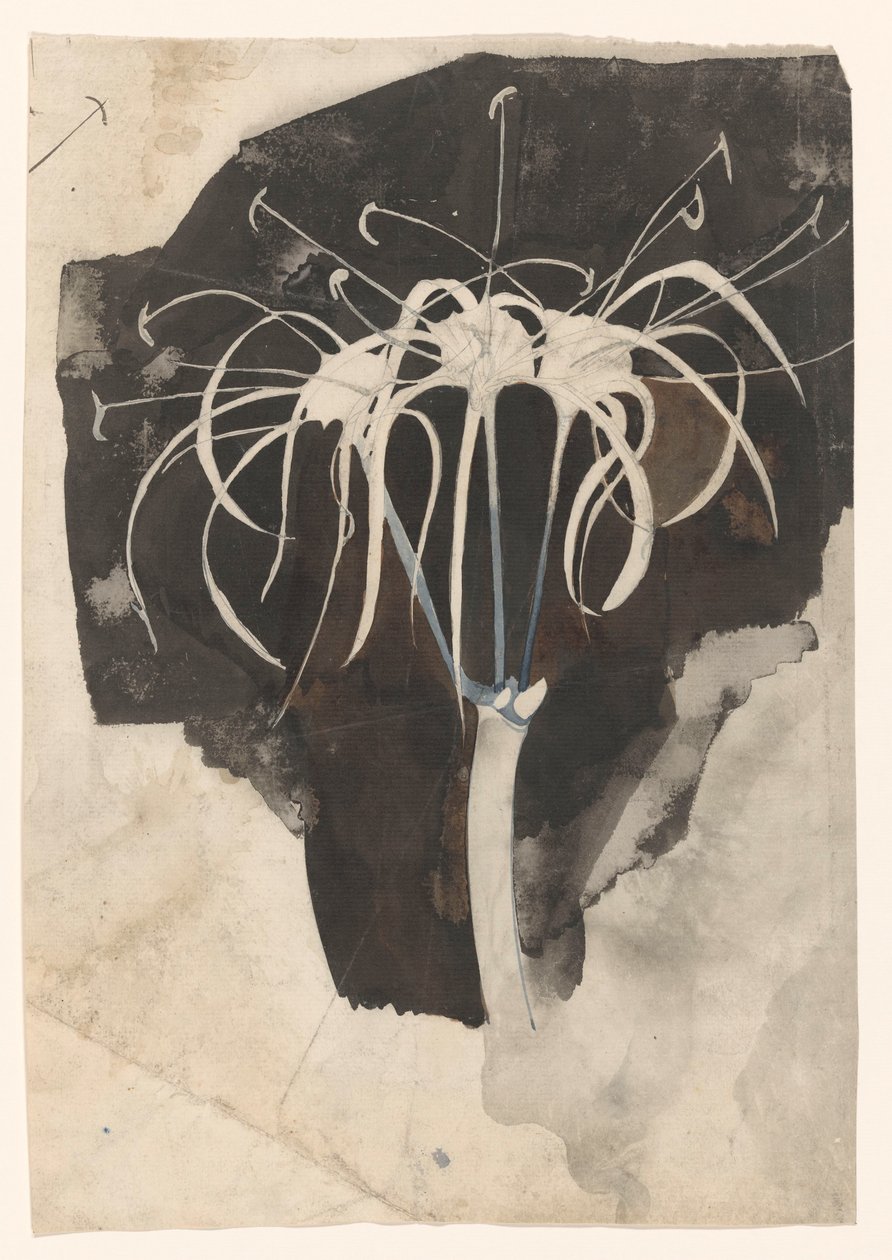 Undersøgelse af kaprifolier af Carel Adolph Lion Cachet