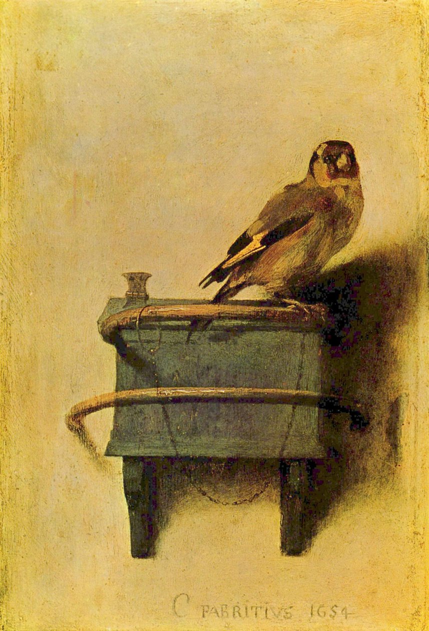 Arabisk:  Guldfinken. af Carel Fabritius