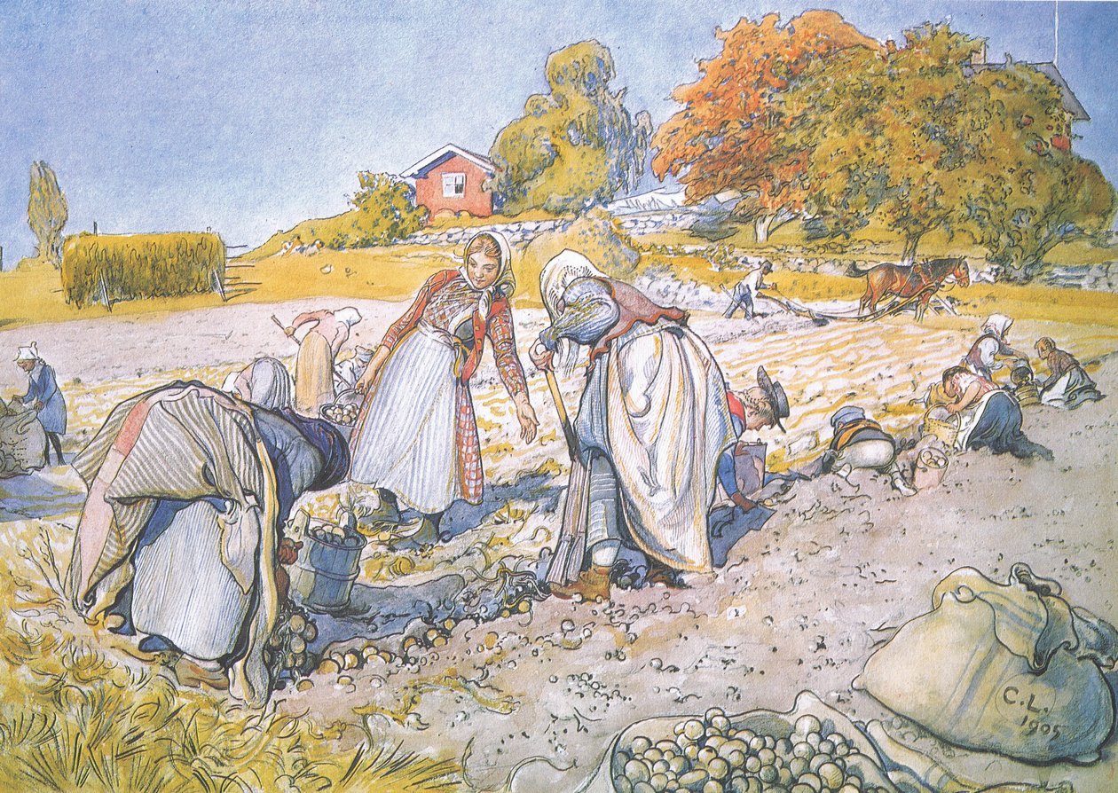 Børnene fyldte spande og kurve med kartofler af Carl Larsson